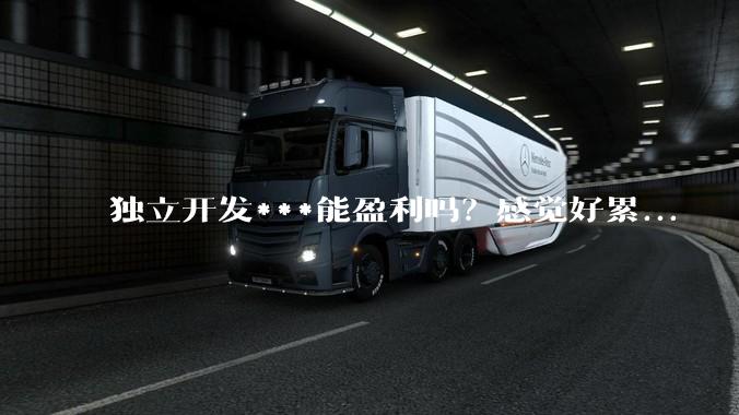 独立开发***能盈利吗？感觉好累...