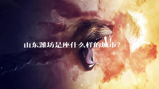 山东潍坊是座什么样的城市？
