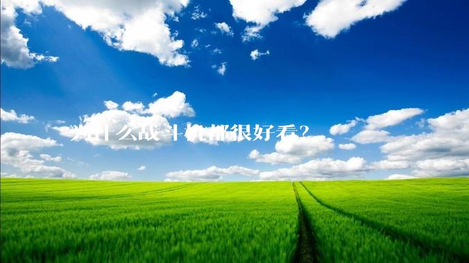 为什么战斗机都很好看？