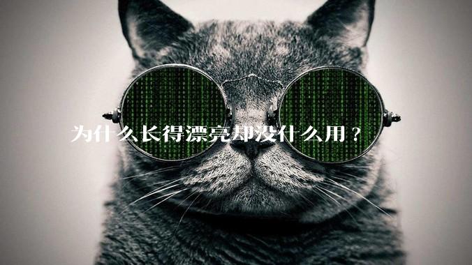 为什么长得漂亮却没什么用?