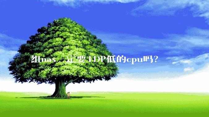 组nas一定要TDP低的cpu吗？
