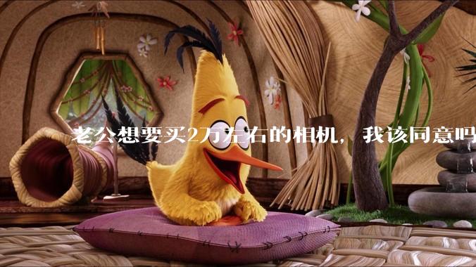 老公想要买2万左右的相机，我该同意吗？